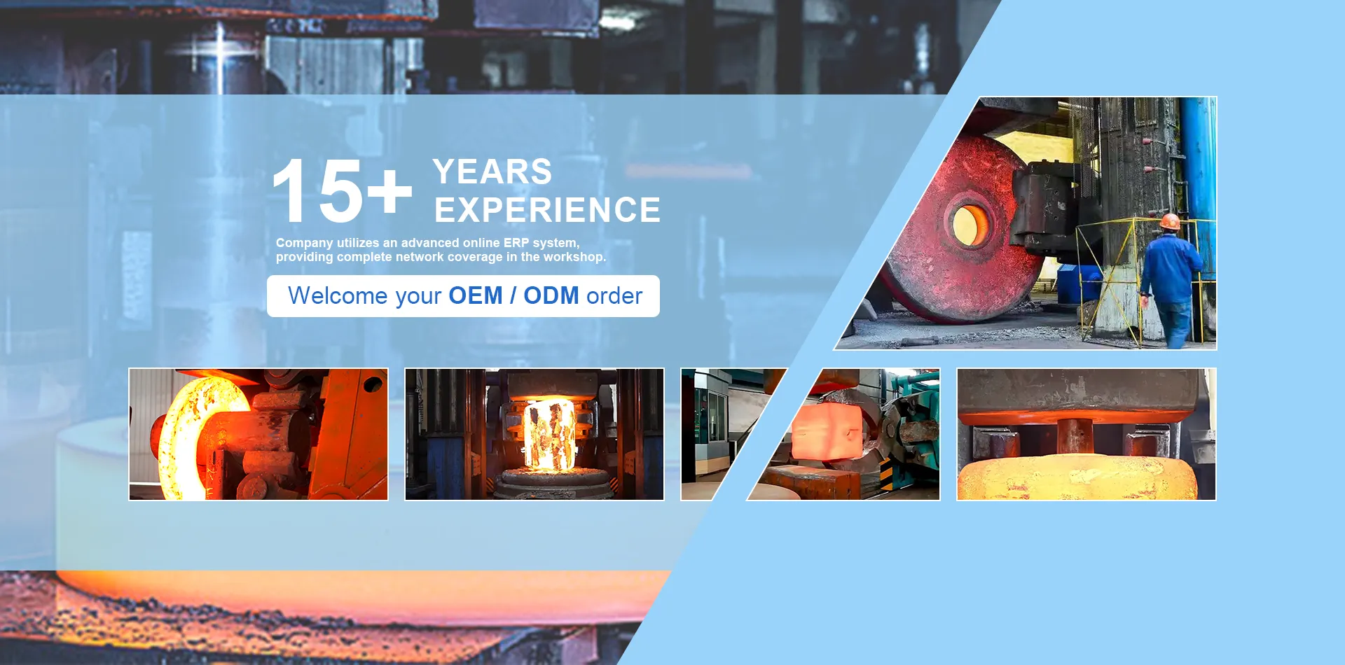 Longan बद्दल